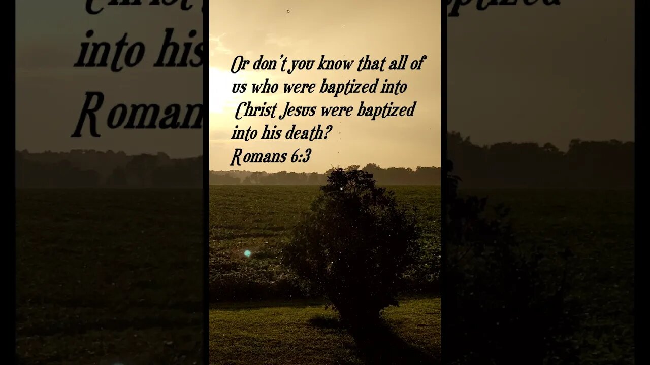 Daily Bible Verse short for today