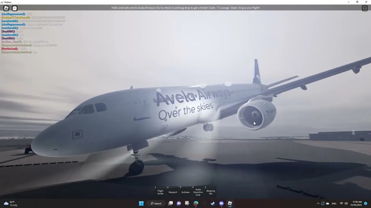 avela flight 999 gone wrong