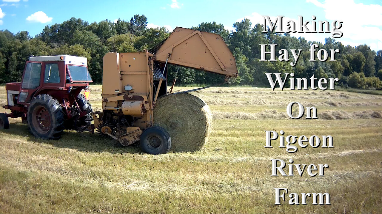 Making Hay for Winter