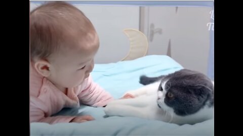 Super cute and adorable cat and baby! Best funny video compilations