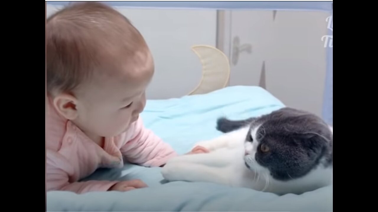 Super cute and adorable cat and baby! Best funny video compilations