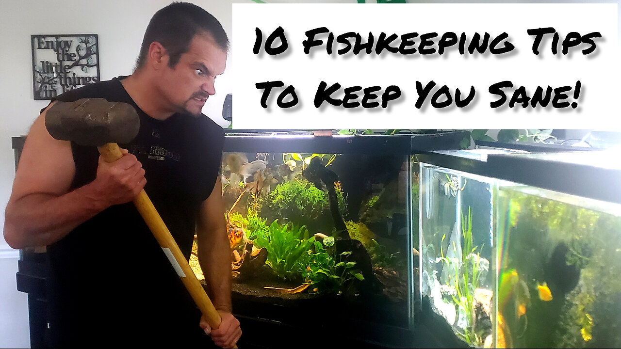 10 Experienced Fishkeeping Tips!