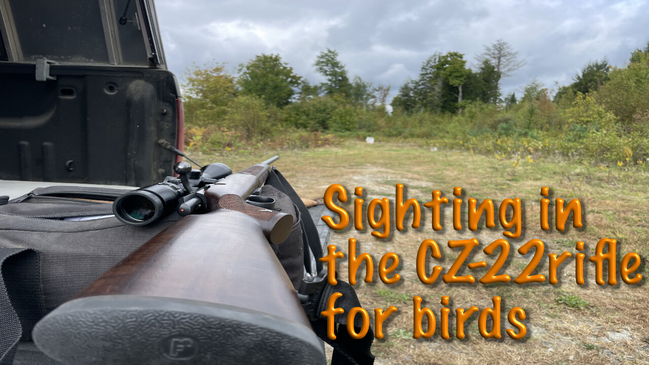 Sighting in the CZ-22 rifle for birds
