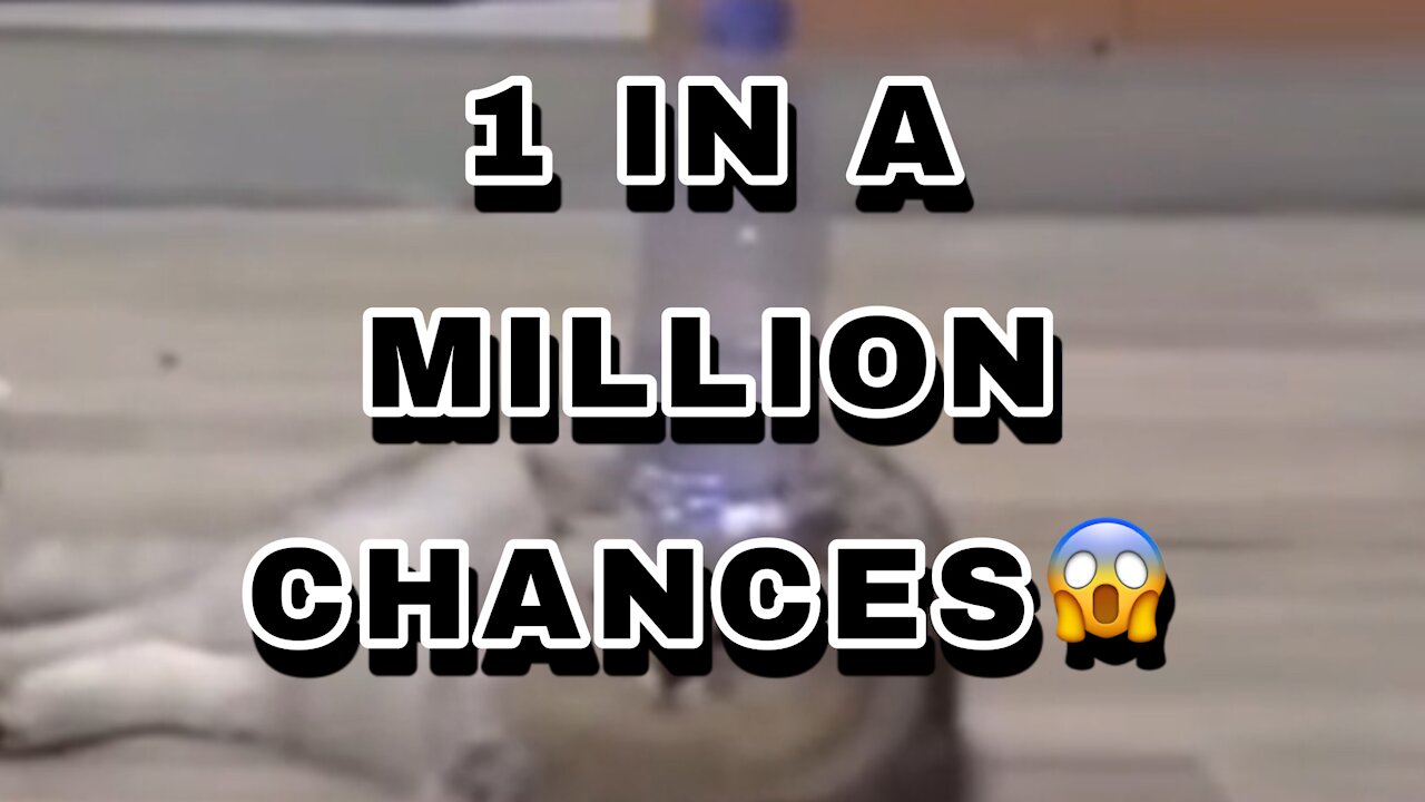 I IN A MILLION CHANCES 😱