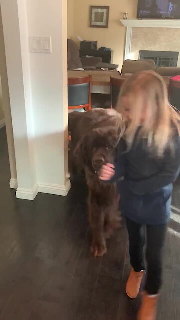 Little girl refuses to leave her giant puppy for school