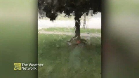 Wild wind, rain and hail hit Ontario home