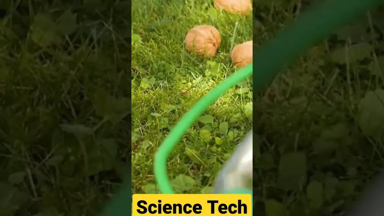 DIY Garden Tricks #5minutecrafts #minecraft #satisfyingvideo #science #subscribe