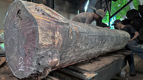 close up red grain wood sawmill process