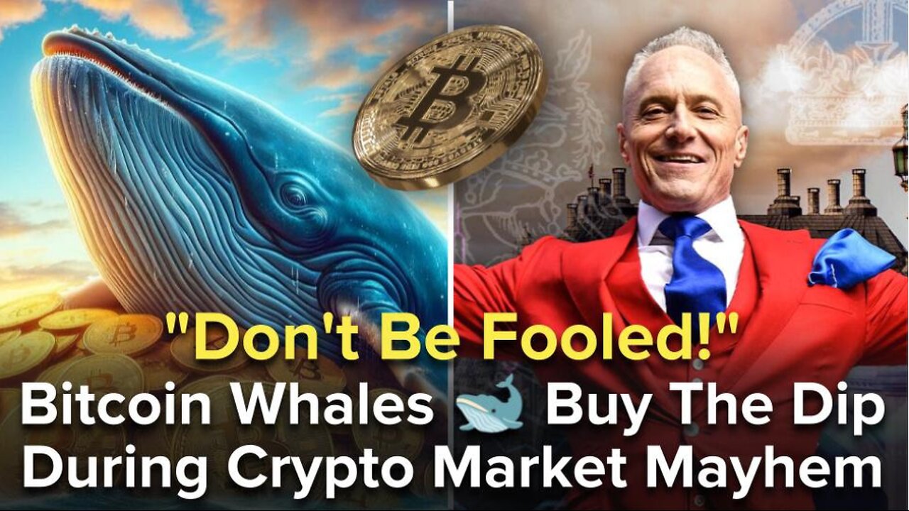 "Don't Be Fooled!" Bitcoin Whales Buy The Dip During Crypto Market Mayhem