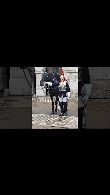 dismount return swords #horseguardsparade