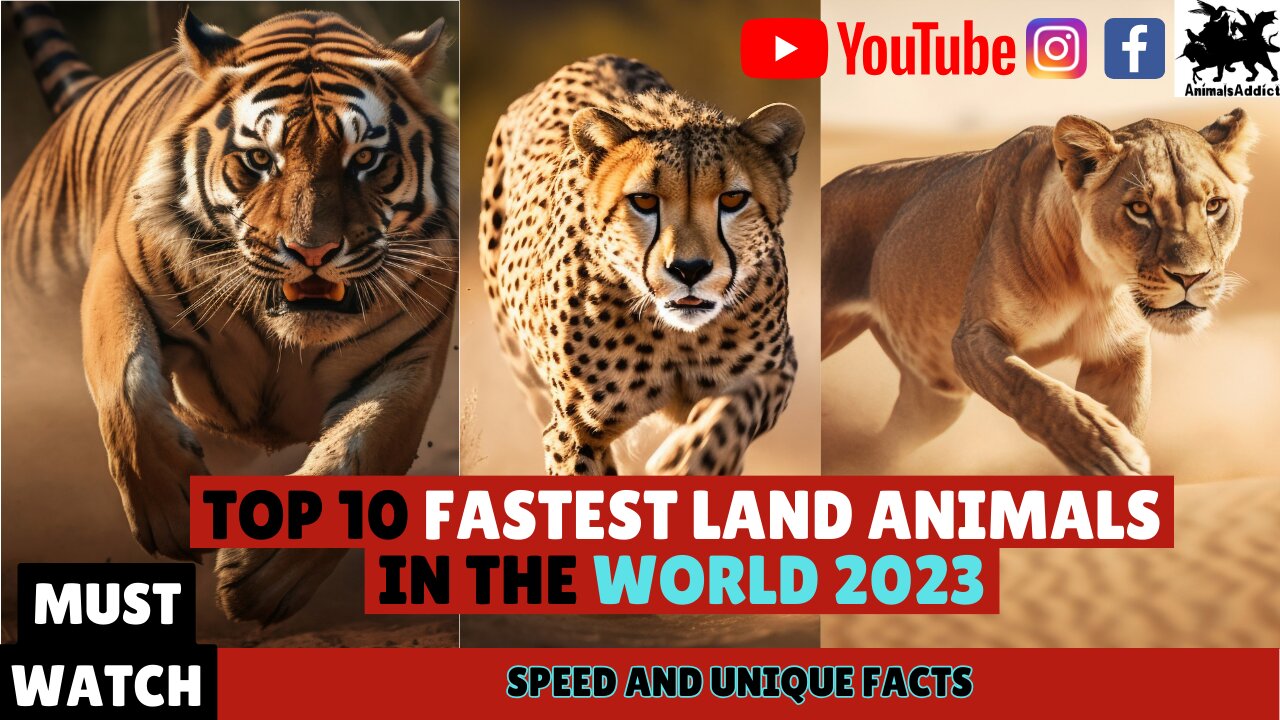 Top 10 Fastest Land Animals In the World 2023 | Fastest Animals In The World Top 10 | Animals Addict