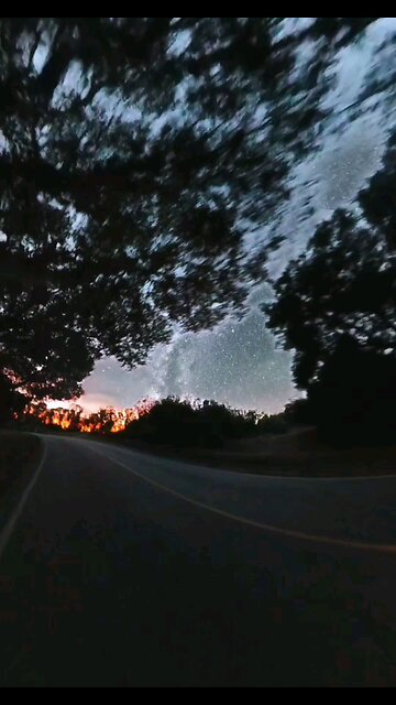 Beautiful things don't ask for attention. 😍✨ #inspiration #positivity