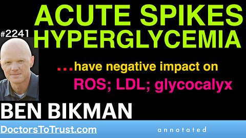 BEN BIKMAN h6 | ACUTE SPIKES OF HYPERGLYCEMIA: has consequences on ROS; LDL; glycocalyx