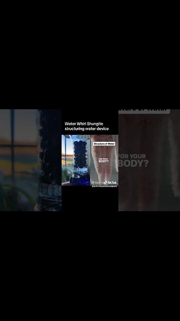 Water Whirl Shungite Bottle for Structuring Water H302 Dr. Emoto Part 2