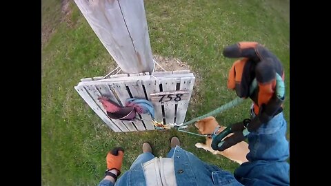 May 20th, 48º partly cloudy, Flynn doesn't make the grade.