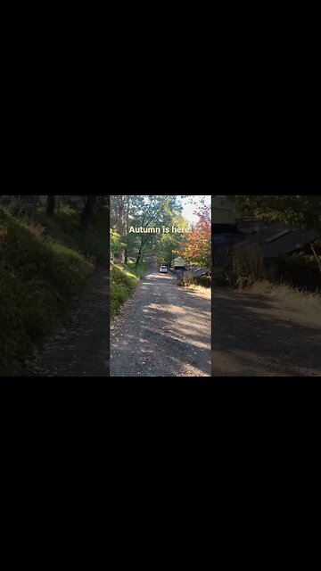 AUTUMN IS HERE! LOOK AT THE COLORS! #autumn #nativeamericanflute #seasons #beautiful #colors #music