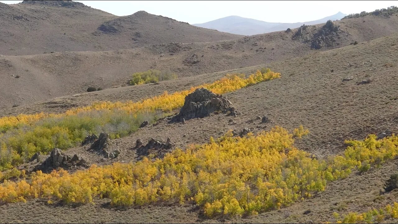Old Masonic Road to Bodie