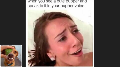 Memes That Will 99.964% Make You Laugh. (e189)