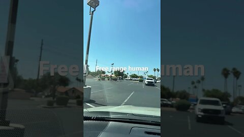 Tempe took the homeless to a better place? Again