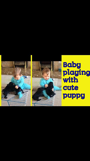 Cute Baby playing | with cute puppies | Dog. Puppy.