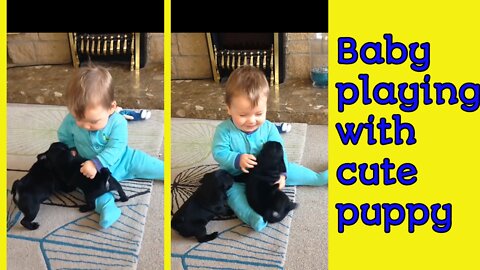 Cute Baby playing | with cute puppies | Dog. Puppy.