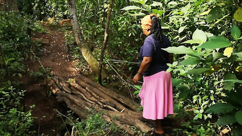 OUTH AFRICA - Durban - KZN MEC of Edu Kwazi Mshengu visit the homeless family leaving in the bush (Video) (QpC)