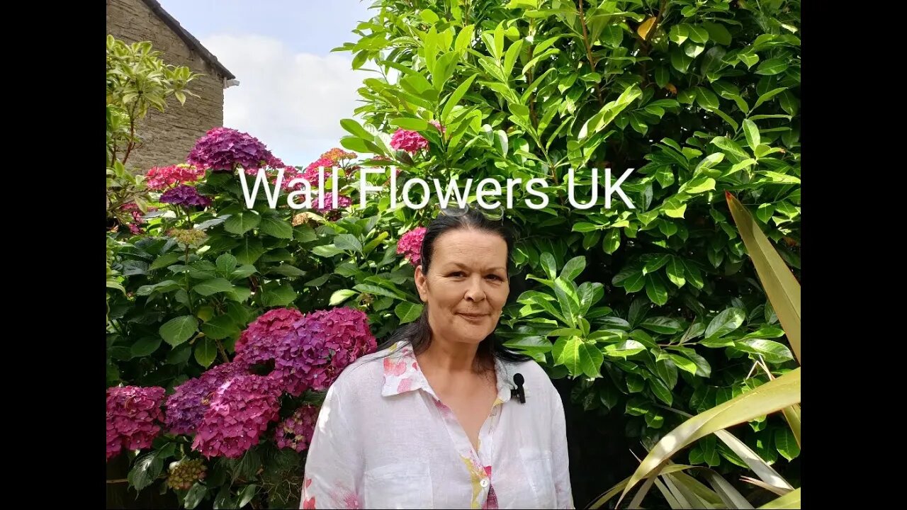 Sunday Night Live Quiz