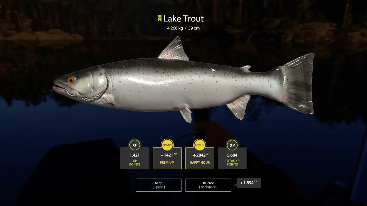 Russian Fishing 4 Kuori lake Lake Trout 4 . 266 Kg