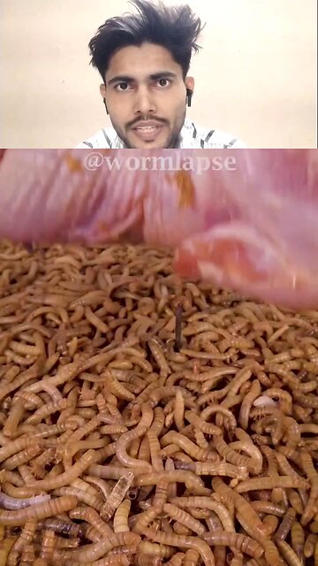 Earth warm Eat Meat Challenge