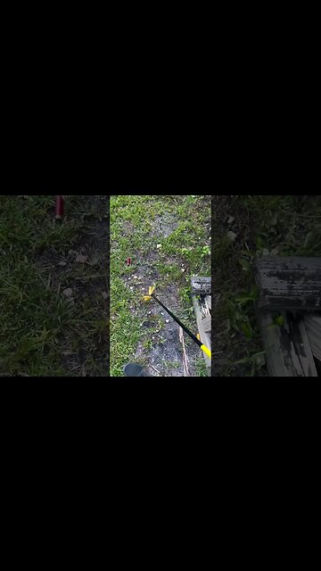 If you Reload Shot Shells You Need This #shorts