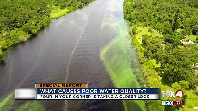 Algae blooms causing problems, but Lake Okeechobee not the only culprit