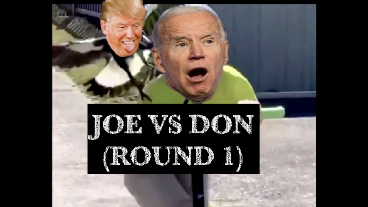 Joe Biden vs Donald Trump (ROUND 1)