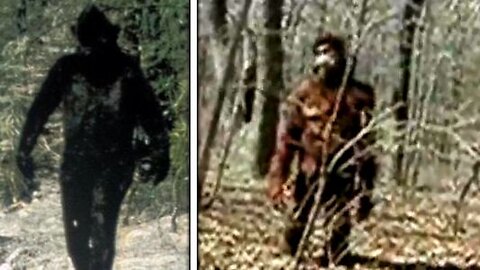 Most Famous Bigfoot Sightings In History