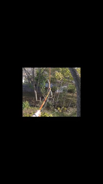 Daisy Chain Hitch with a long tail = built-in tagline...