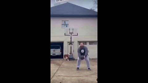 Stunning video