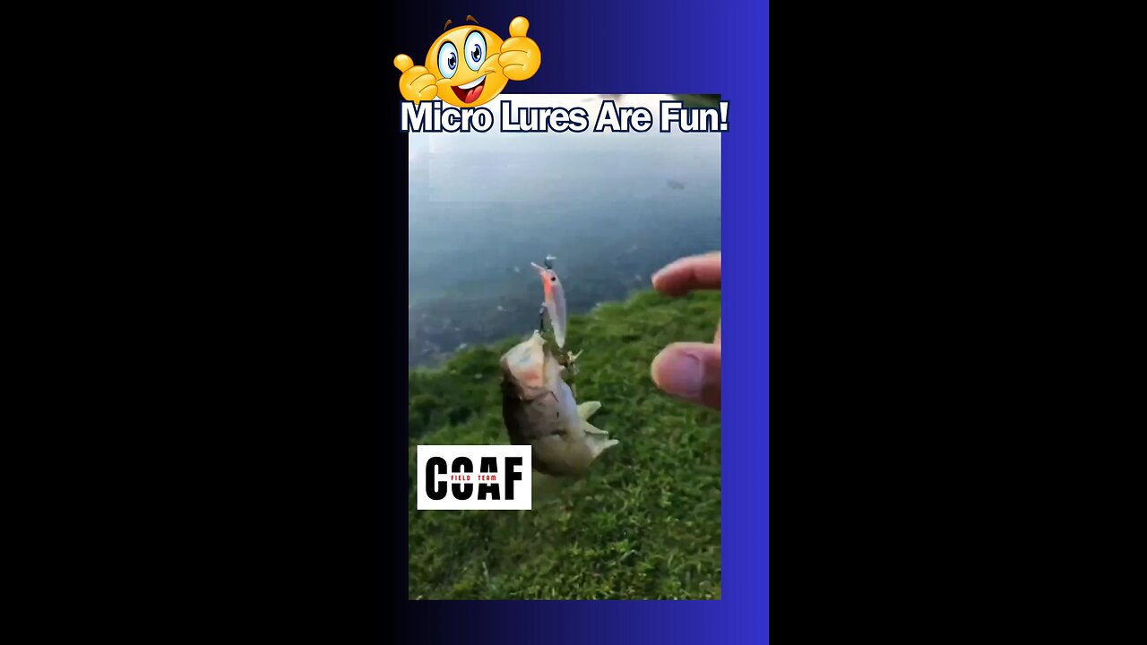 Try This Micro Lure for Bass
