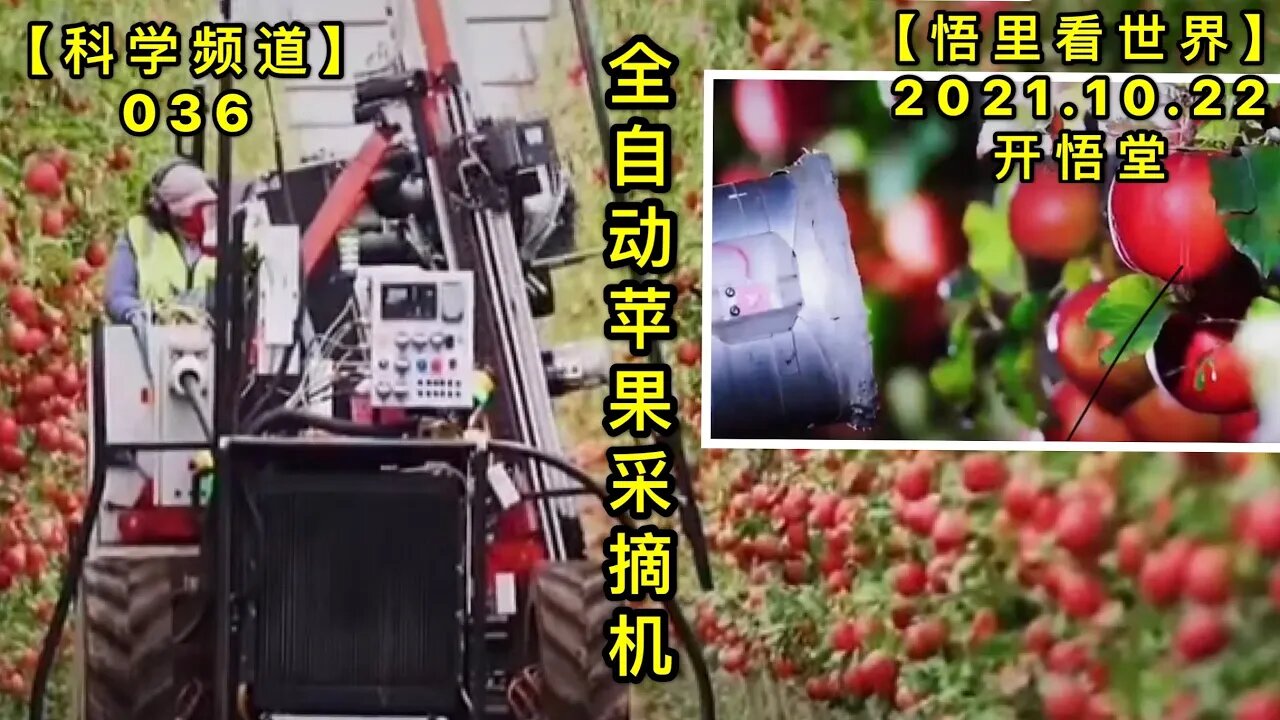 【科036】全自动苹果采摘机20211022【开悟堂-科学频道】