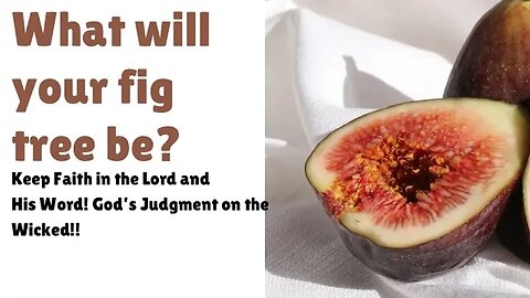 What will your fig tree be? God’s Word and Judgement on the wicked