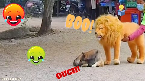 🤣😹🤣🤣||Funny animal vs toy video compilation||🤣😹🤣🤣