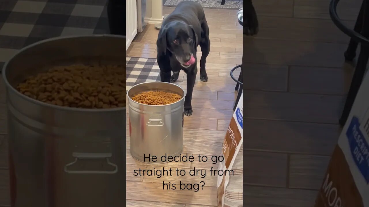 My boy Duke got a treat!