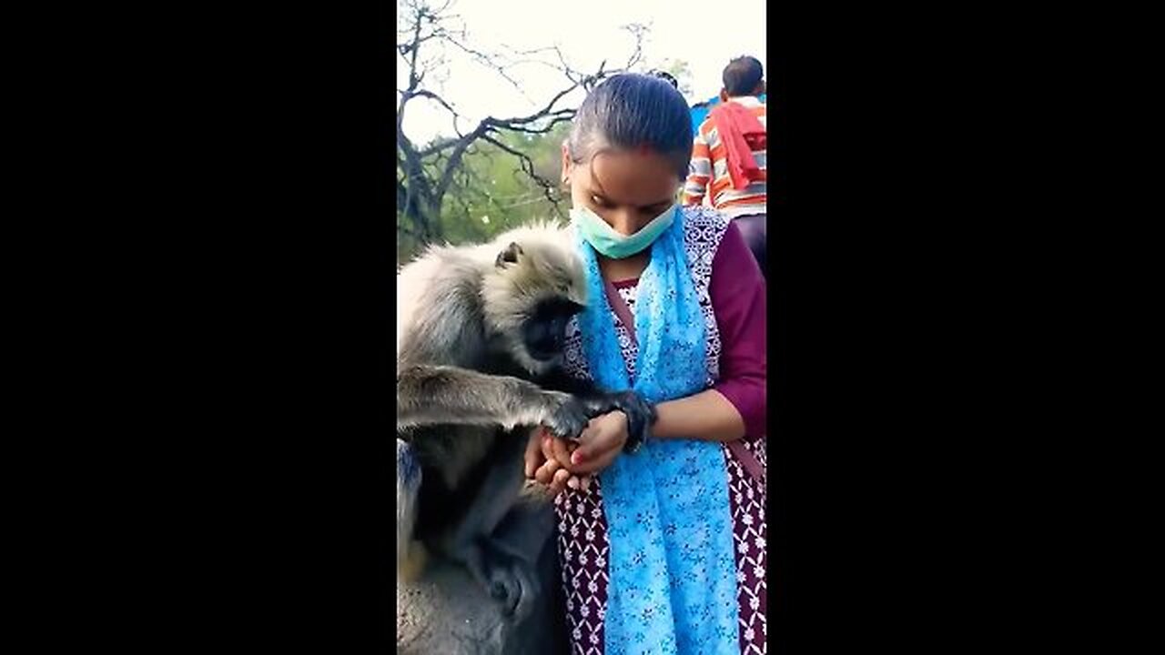 Cute Animals ❤️ short video 🐒🐒🐒🐒🐒