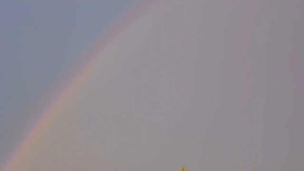 #happyrain