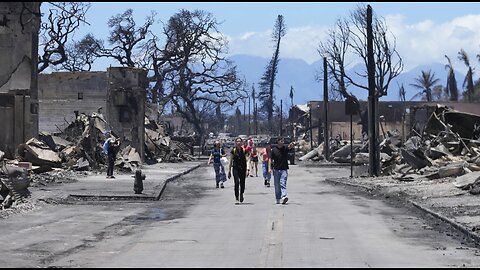 Survivors begin returning home to assess damage