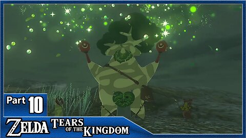 Zelda Tears Of The Kingdom, Part 10 / Sinakawak Shrine, Hestu's Concerns, Runakit Shrine