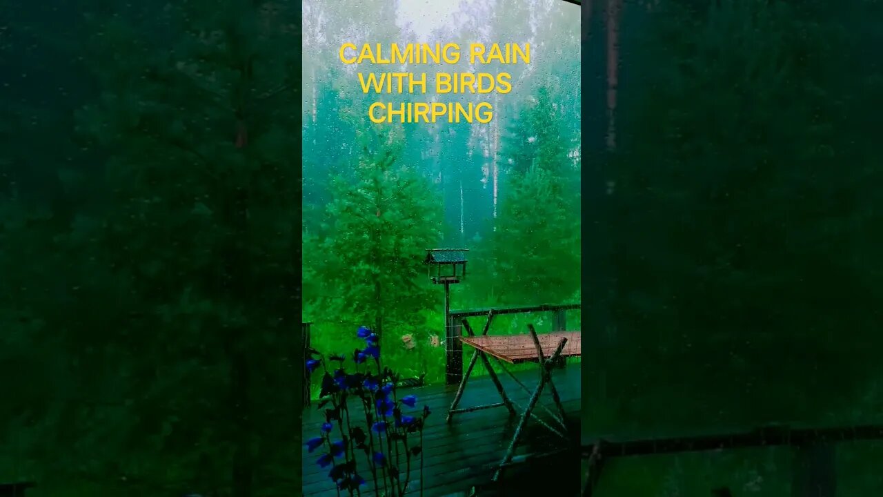 Rain Sounds | Sound of Rain with Bird Chirping | Nature Sounds |WhatsApp Status | Green Scenery |