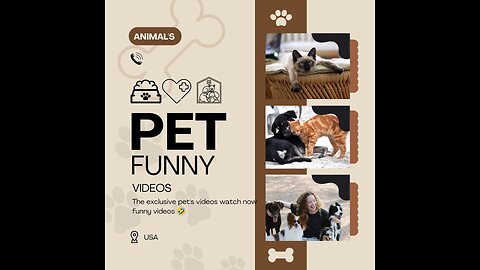 THE EXCLUSIVE TRENDING FUNNY VIDEO PET'S VIEW VIRAL SHORTS