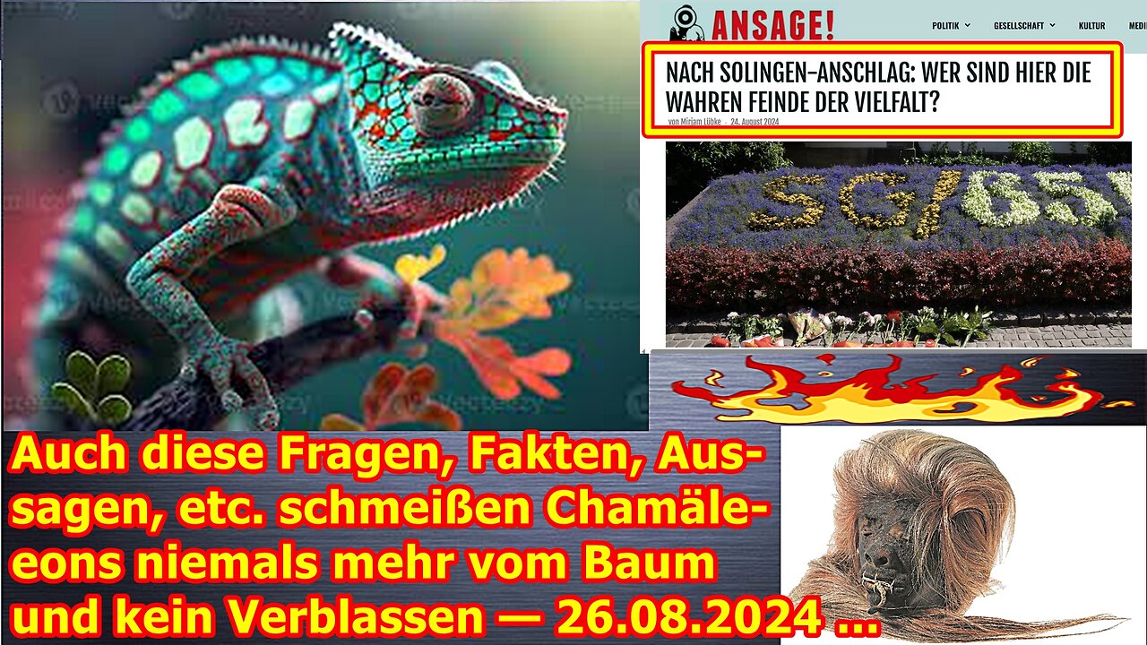 Auch diese Fragen, Fakten, Aussagen, etc. schmeißen Chamäleons niemals mehr vom Baum — 26.08.24 ...