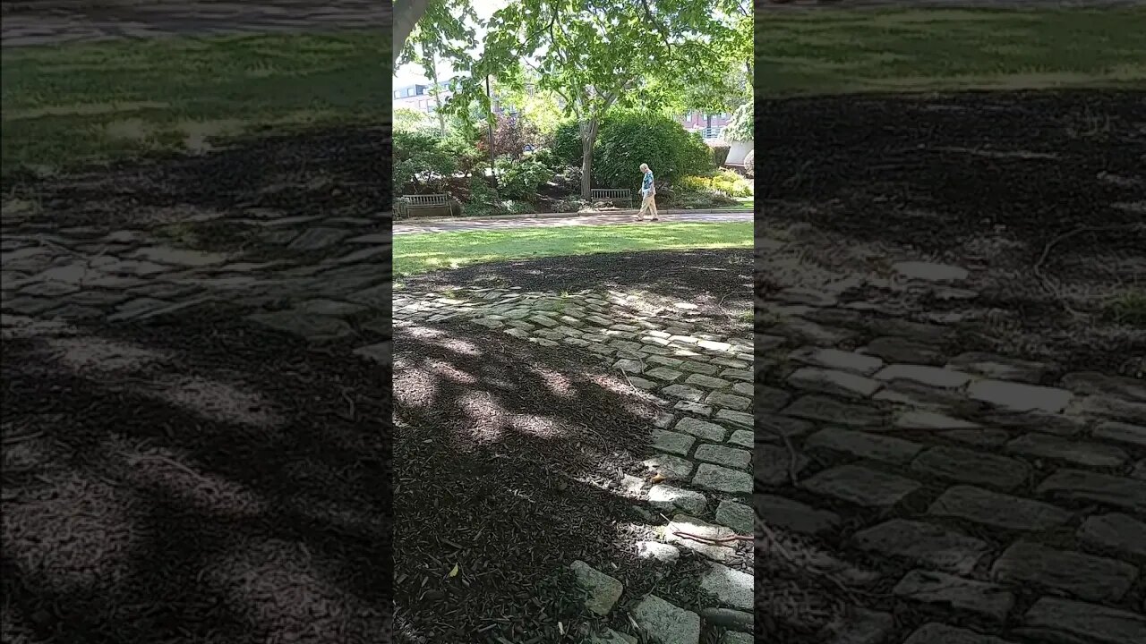 See it? Comment below https://www.thescifishortstorywriter.com https://www.rumble.com/user/writer202