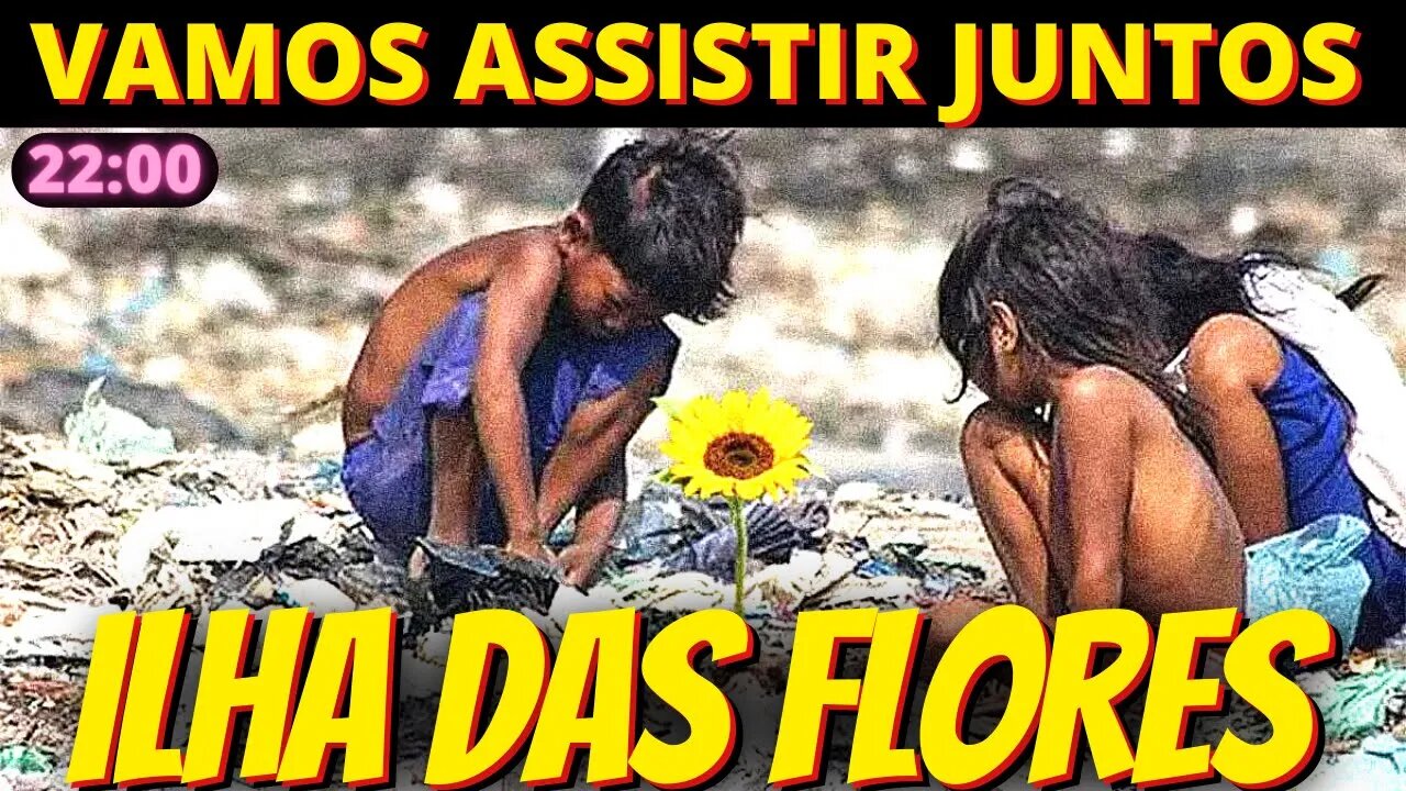 22h ILHA DAS FLORES - React desse clássico do cinema brasileiro