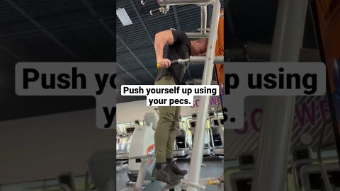 Grow Your Chest/Pecs with Dips